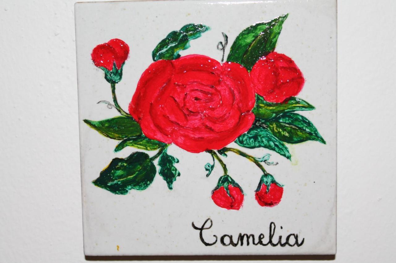קיוזי Il Casale Di Sandra מראה חיצוני תמונה