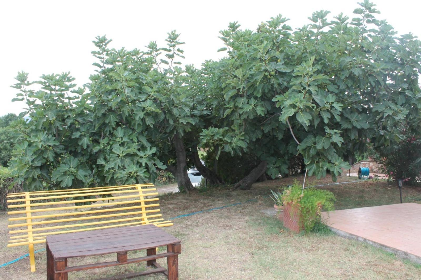 קיוזי Il Casale Di Sandra מראה חיצוני תמונה
